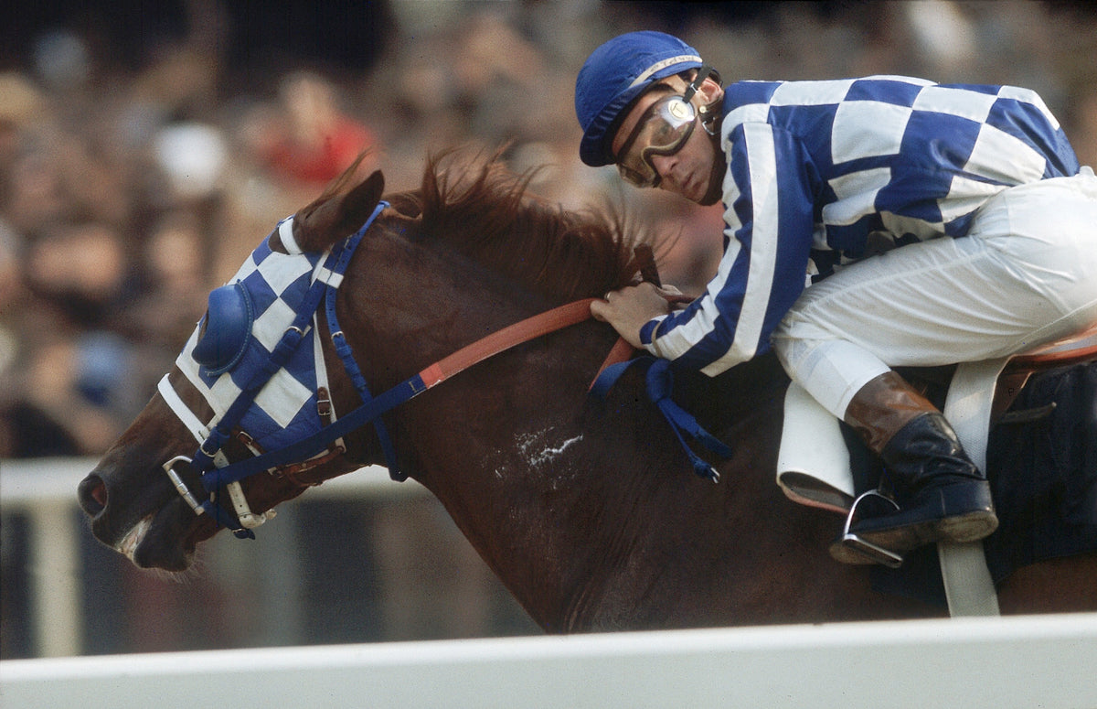 Secretariat at the Belmont Stakes