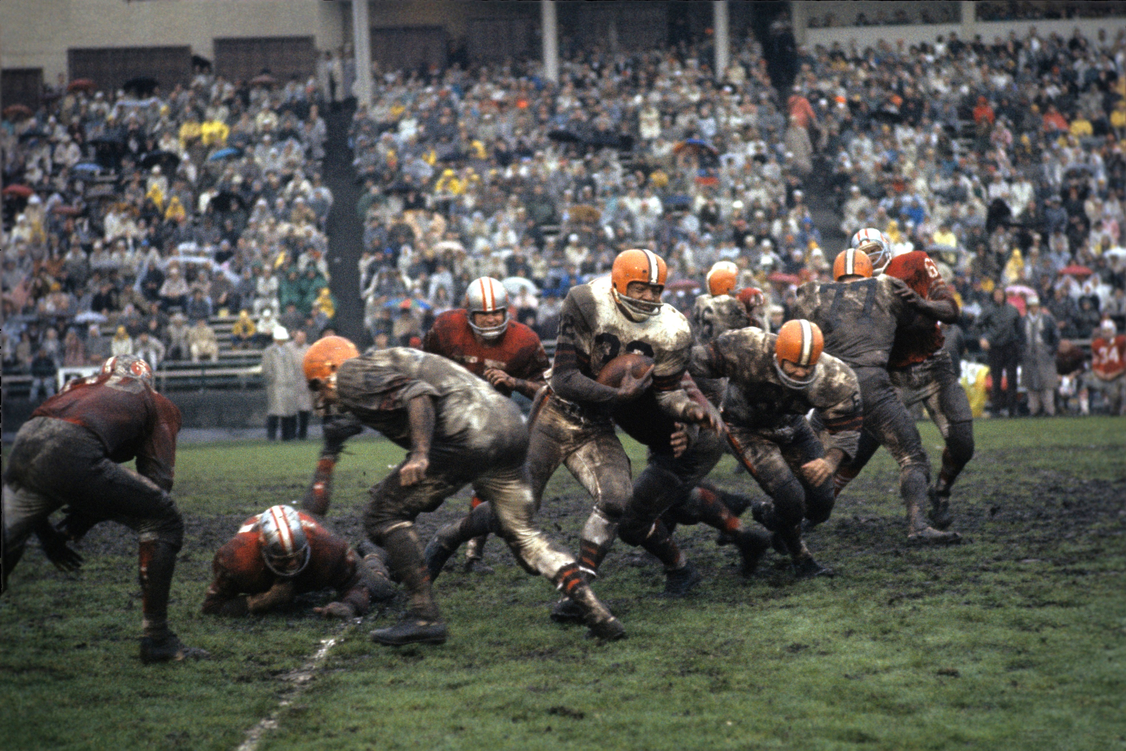 Buy Jim Brown Cleveland Browns Football Illustrated Art Poster Online in  India 