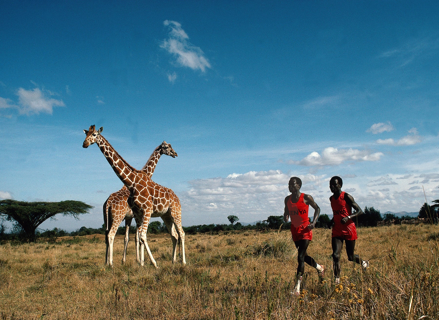 Kipkoech and Charles Cheruiyot