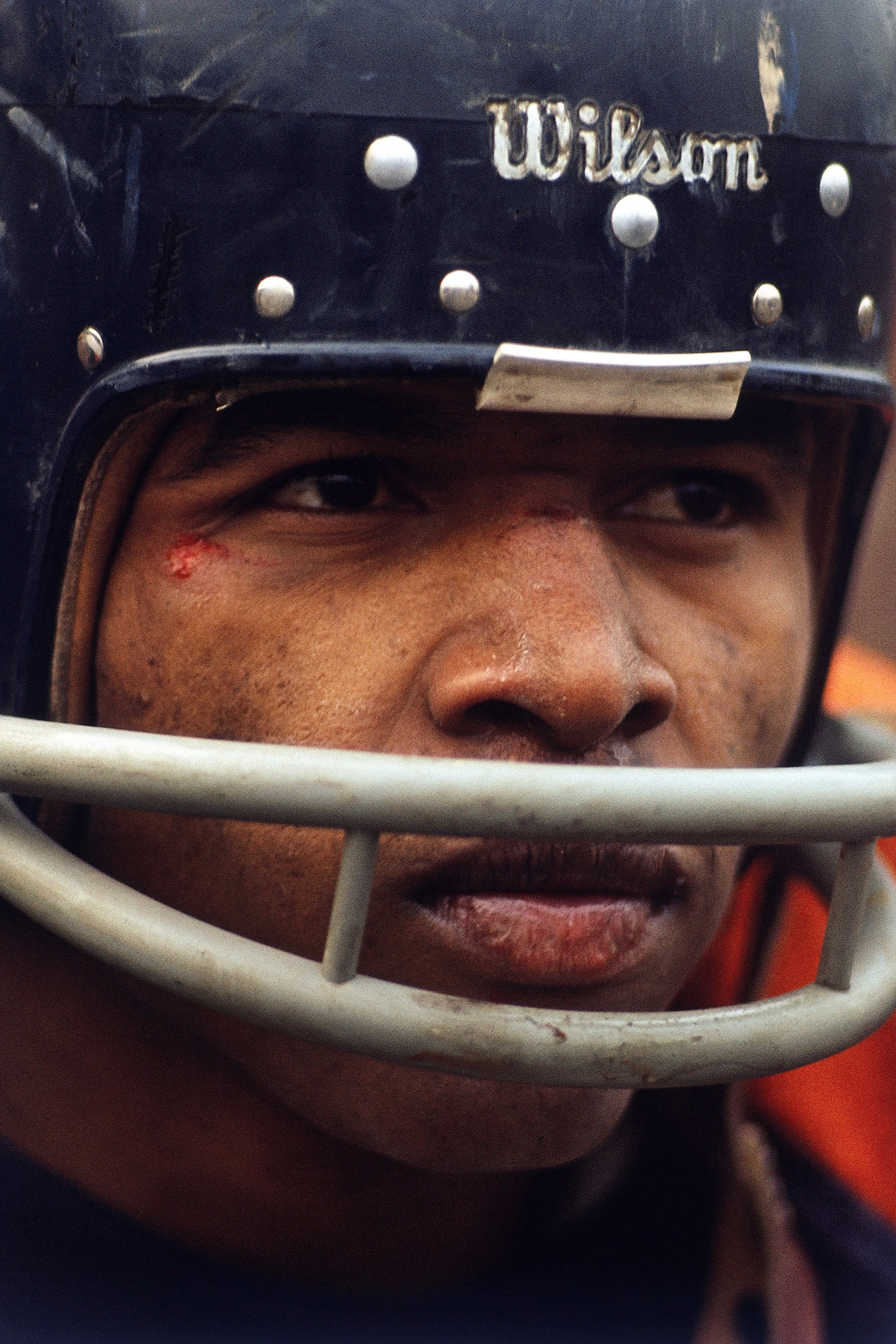 Gayle Sayers, Portrait