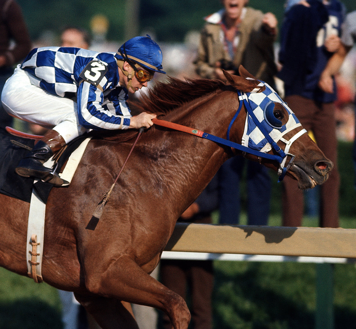 Secretariat at Preakness