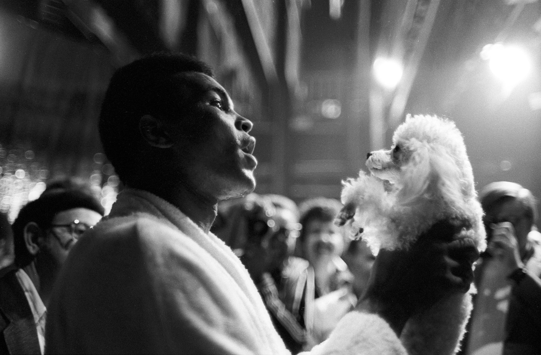 Muhammad Ali with Dog, Training for Joe Bugner Fight