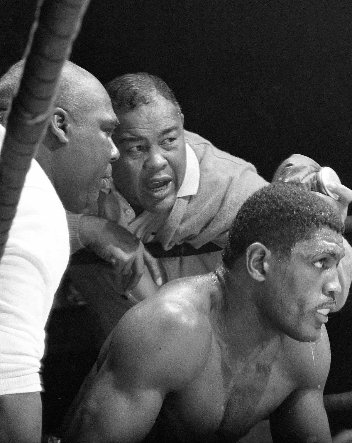 Joe Louis and Ernie Terrell