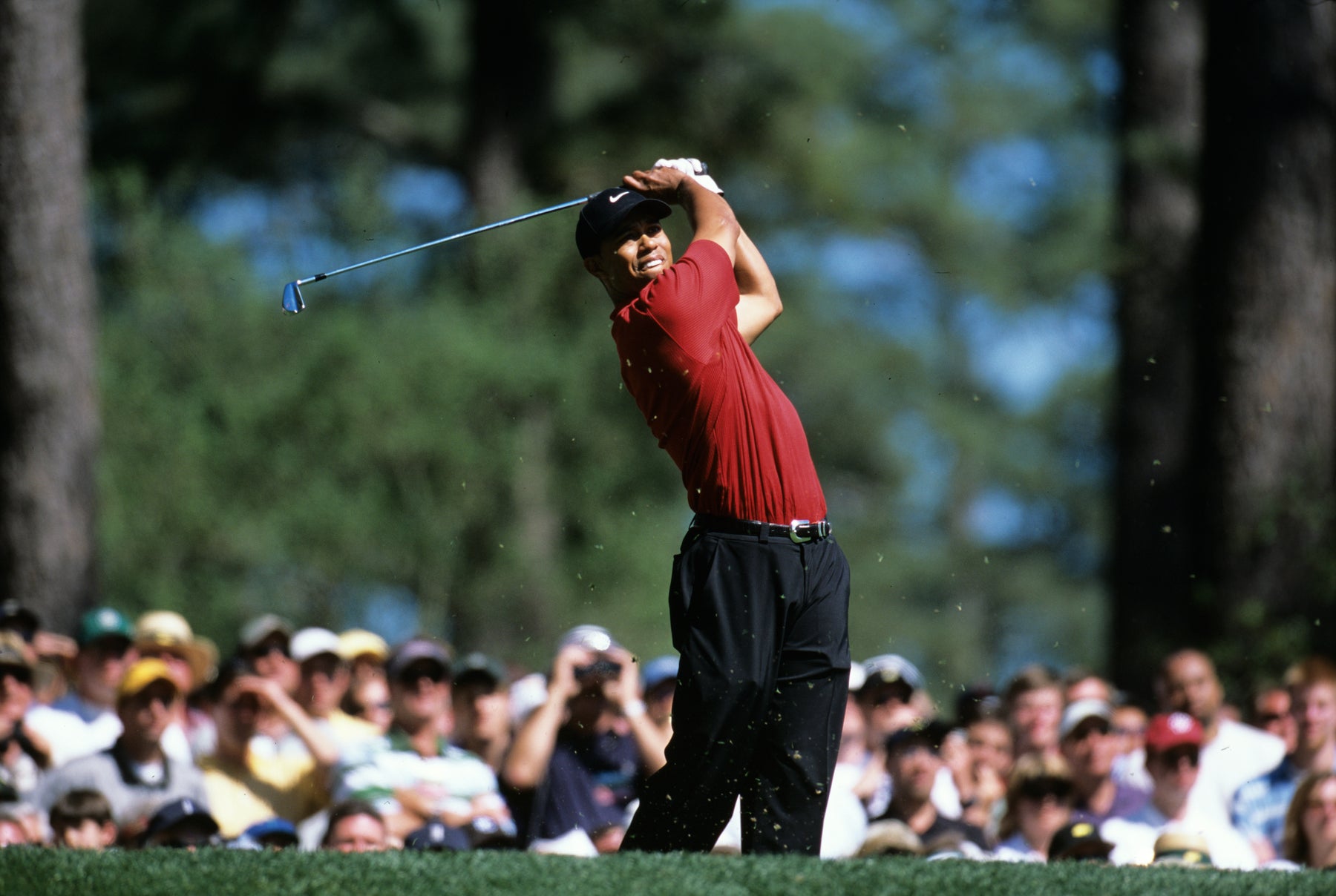 Tiger Woods, On the Tee at The Masters