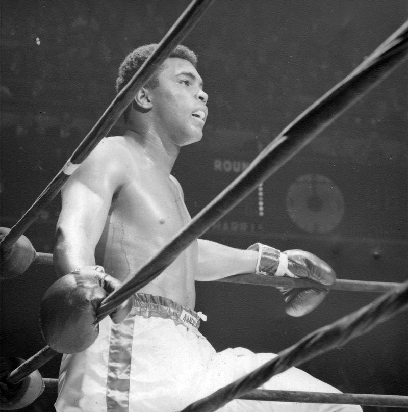 Muhammad Ali vs Zora Folley, Ali In Corner | Neil Leifer Photography